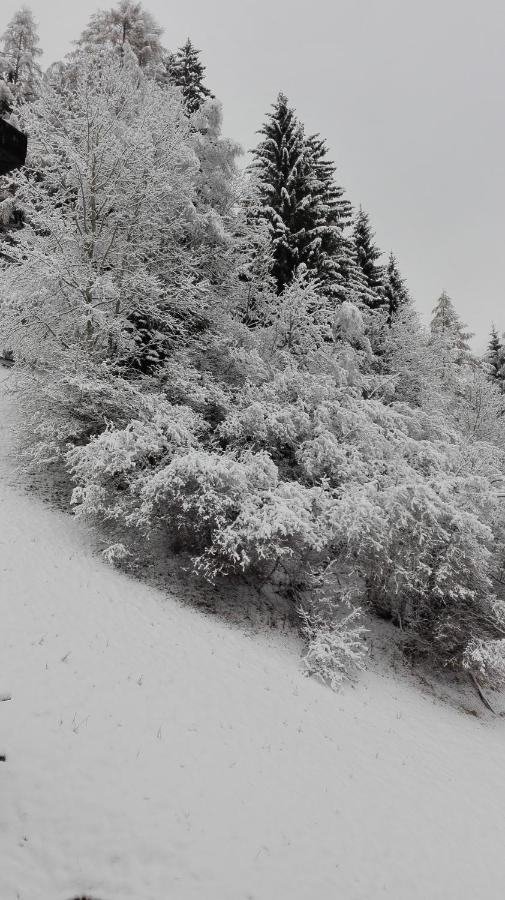 Pension Brunner Bad Kleinkirchheim Exteriör bild